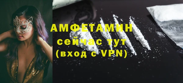 гидра Рославль