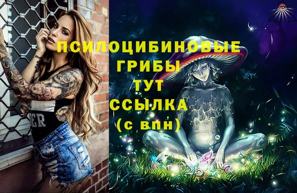 прущая мука Михайлов