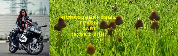 прущая мука Михайлов