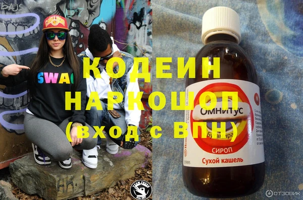 молекула духа Михайловск