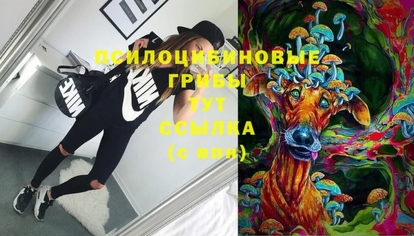 молекула духа Михайловск
