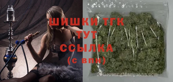 молекула духа Михайловск
