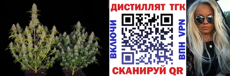 Дистиллят ТГК THC oil  цена   МЕГА зеркало  Ростов-на-Дону 