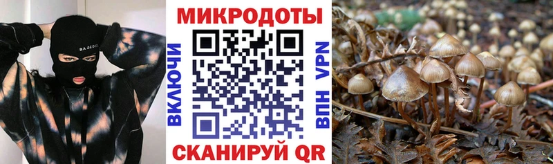 Псилоцибиновые грибы MAGIC MUSHROOMS  купить наркотики сайты  Ростов-на-Дону 