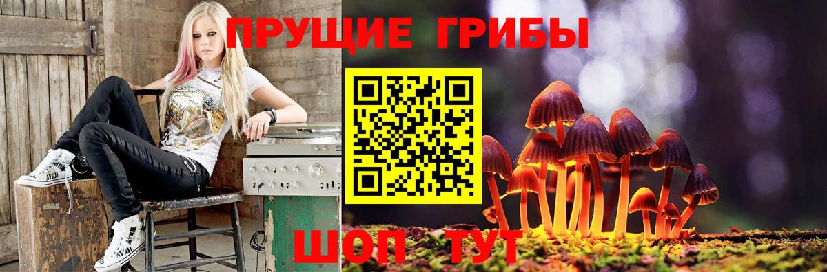 Галлюциногенные грибы Cubensis  Галлюциногенные грибы GOLDEN TEACHER  Ростов-на-Дону 