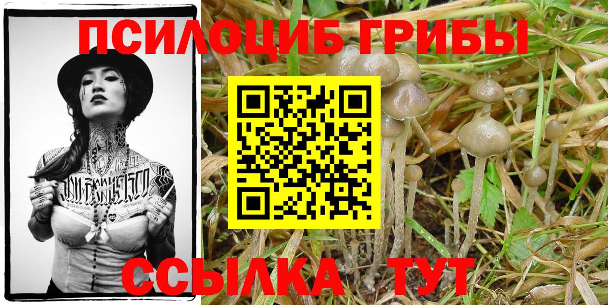 Псилоцибиновые грибы прущие грибы  Галлюциногенные грибы ЛСД  как найти   Вход с VPN  Ростов-на-Дону 